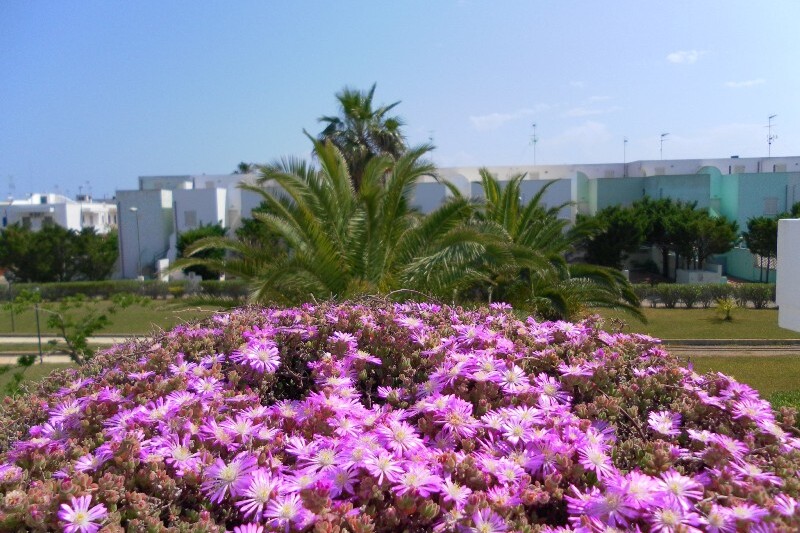 vacanze nel salento residence