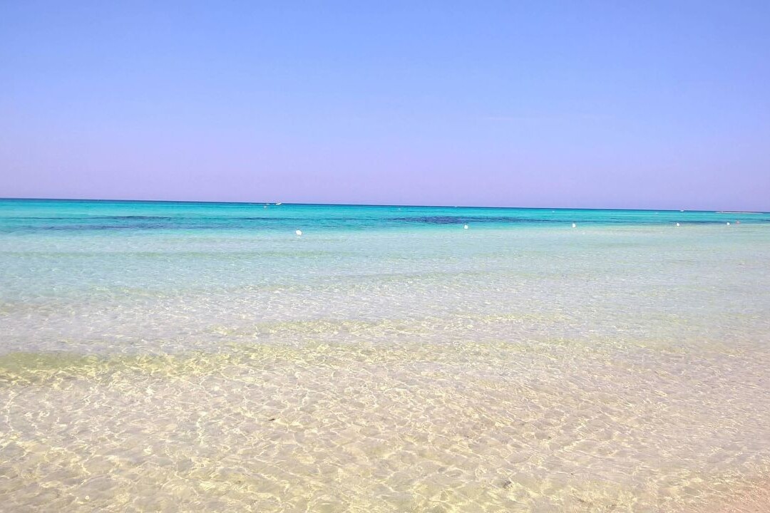 Appartamenti Torre Mozza last minute